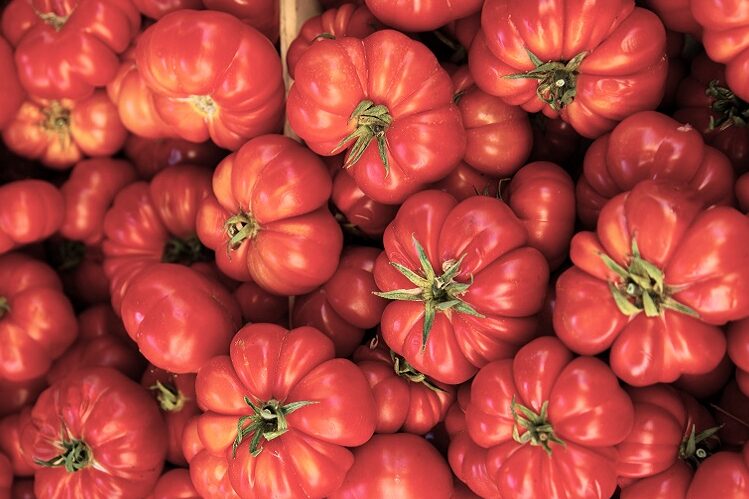 tomate caramba casero
