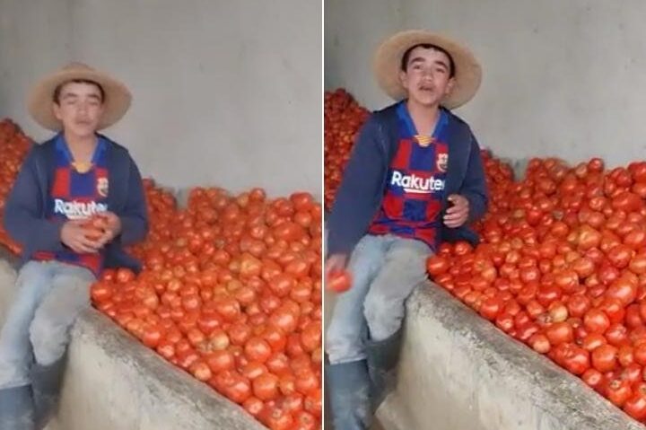 tomate de la cabrera