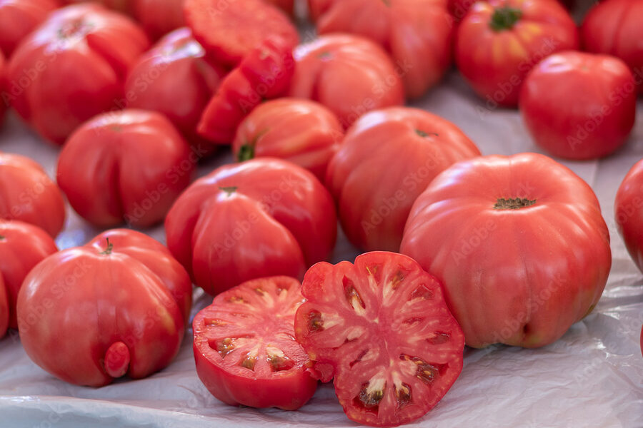 tomate fresco y jugoso