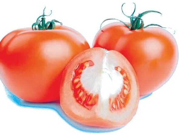 tomate fresco y limpio