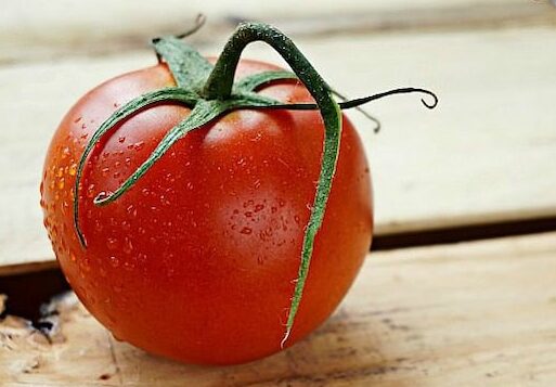 tomate fresco y sabroso