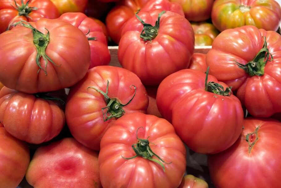 tomate moruno en aranjuez