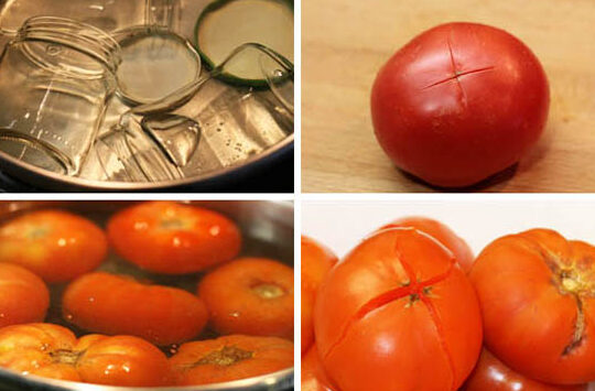 tomate troceado en conserva