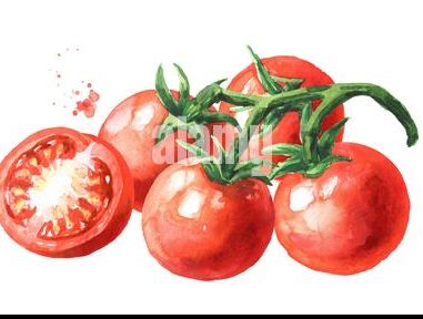 tomates cherry frescos y jugosos