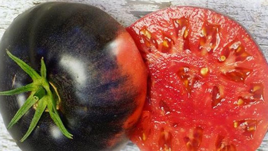 tomates frescos envasados al vacio