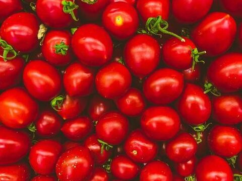 tomates frescos y apetitosos