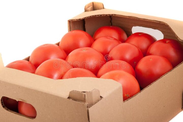 tomates frescos y sabrosos