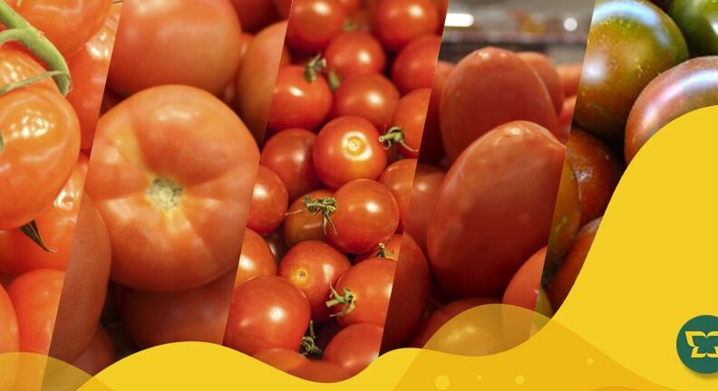 tomates frescos y sabrosos