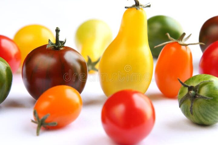 tomates jugosos y coloridos