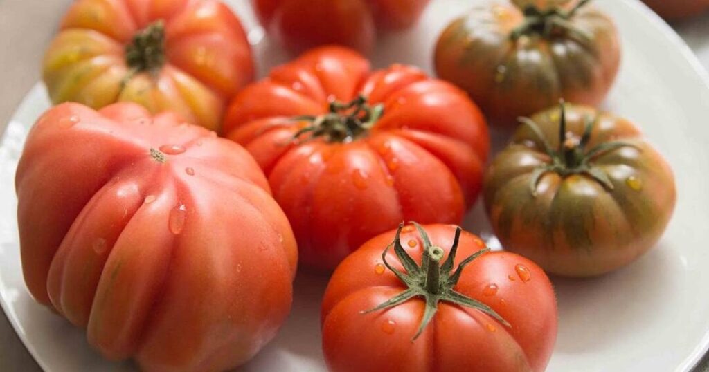 tomates saludables y abundantes