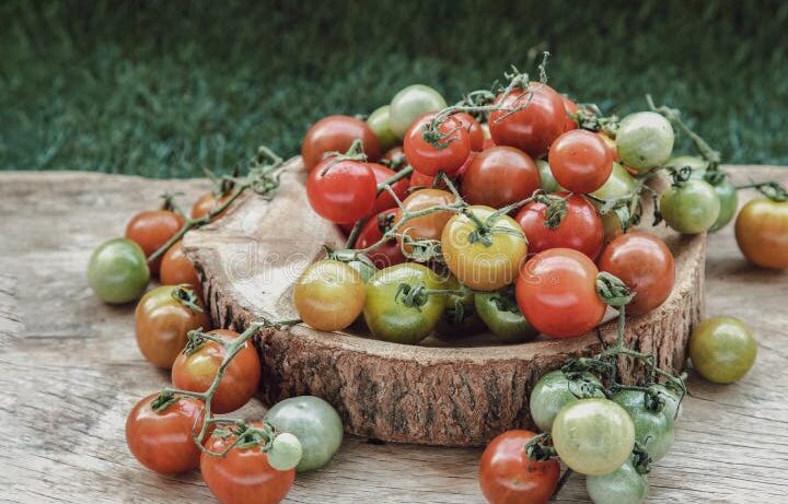 tomates salvajes frescos