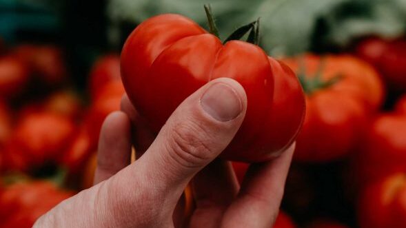 tomates y acido urico